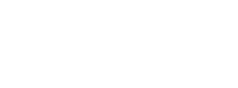 dvv company